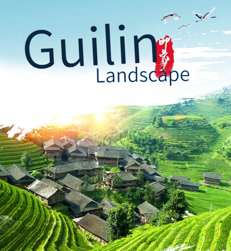 Natural Loofah Sponge Kitchen Sponge Wash Dish Eco-Friendly  Shower Luffa Body Scrubbers Loofa Biodegradable Sponge