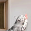 Catnip Wall Spin Ball Catnip Ball Toy Edible Cat Catnip Toys Promotes Digestion Enhances Appetite Wall Cat Lick Ball for Cat