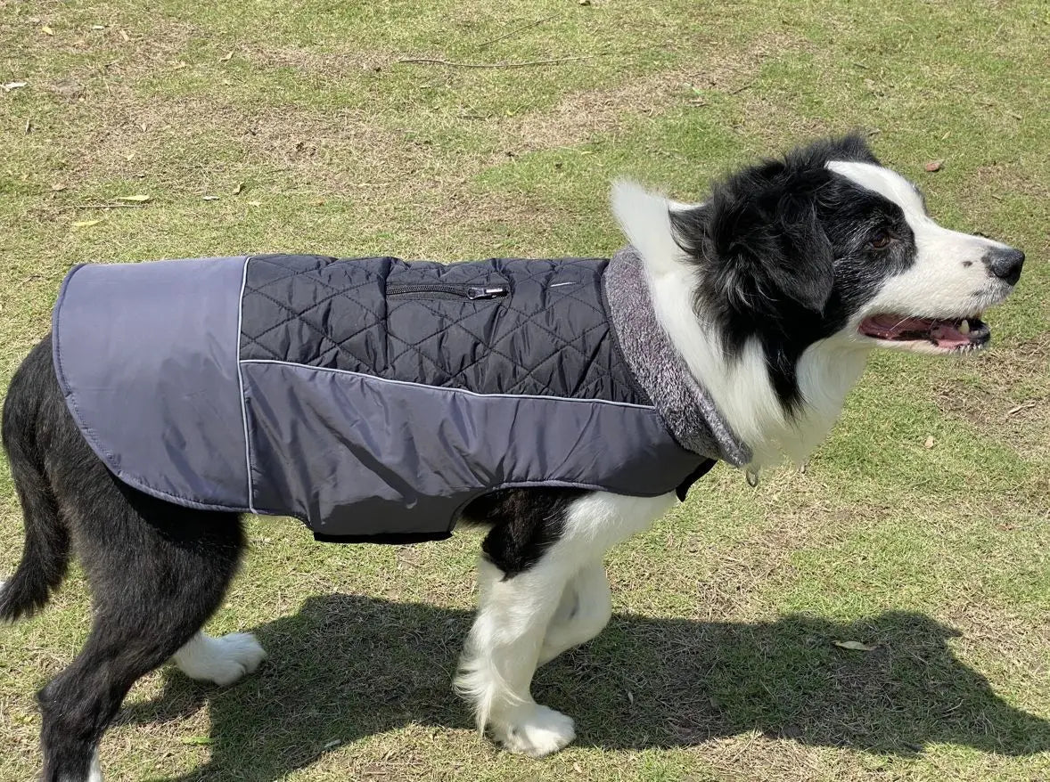 Warm Fleece Collar Dog Coat Jacket Double-Sided Winter Dog Coat Waterproof Puppy Clothing For Small Medium & Large Dogs Supplies