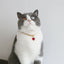 Luxury Dog Cat Necklace Jewelry with Heart Diamond Pendant Design Gold Chain Collar Pet Wedding Birthday Costume Accessories