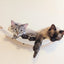 Cat Hammock Wall Mounted Wooden Furniture Scratcher Kitty Beds Perches circular plunge platform Cats Wall Shelf For Play & Climb