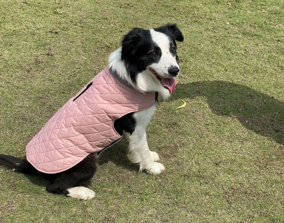 Warm Fleece Collar Dog Coat Jacket Double-Sided Winter Dog Coat Waterproof Puppy Clothing For Small Medium & Large Dogs Supplies