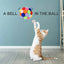 3PCS Cat Toys Cat Plush Ball Toy Pet Elastic Bell Ball Self Hi Ball Playing Cat Colorful Woolen Ball