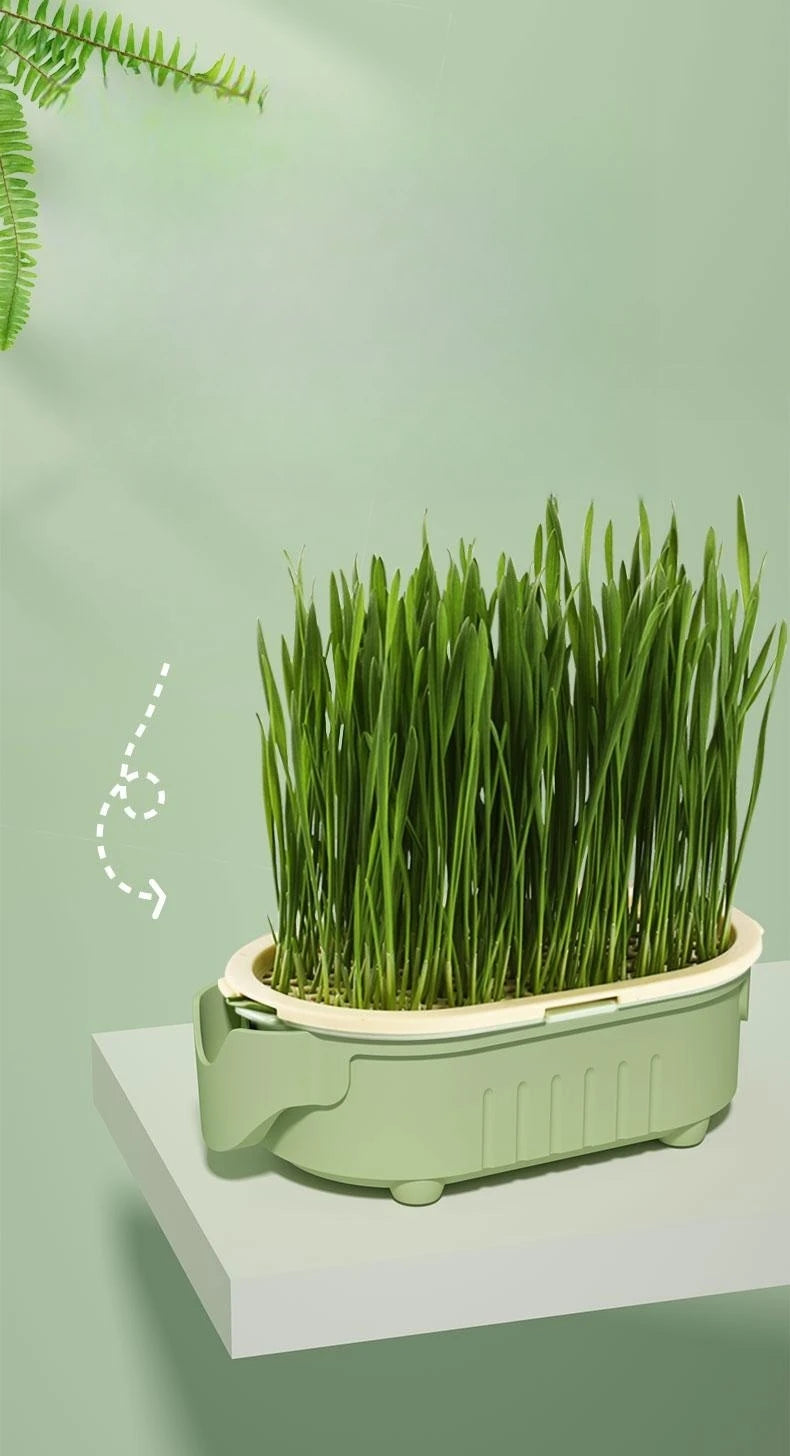 Good Quality Soilless hydroponic growing cup Lazy planting cup Hydroponic cultivation