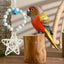 Parakeet Toys Parrot Cage Bite Toys For Cockatoos African Grey Macaws Love Birds Fun And Durable Bird Puzzle Toys For Bird