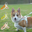Saddle Style Corgi Puppy Dog Harness and Leash Set Portable Pet Harnesses for Small Medium Dogs mascotas Accessories Supplies