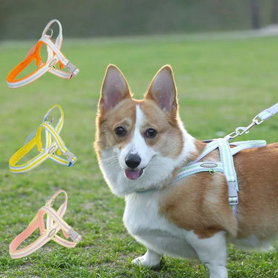 Saddle Style Corgi Puppy Dog Harness and Leash Set Portable Pet Harnesses for Small Medium Dogs mascotas Accessories Supplies