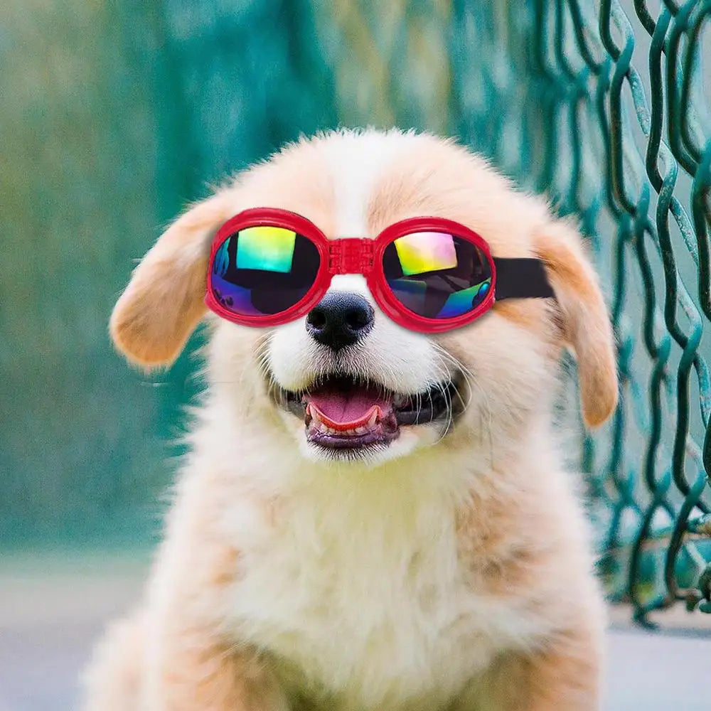 Pet Goggles Puppy Eye Protection UV Protection Dog Sunglasses With Adjustable Strap Eye Protection Goggles for Dogs Doggy Pet