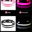 Dog Collar Nylon LED Night Safety Flashing Glow In The Dark Pet Dog Leash pet Dogs Luminous Fluorescent  dog accessories collar