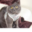 Dog Harness with Bow Plaid Cat Harness Adjustable Length Pet Harness with Dog Leash Four Colors Dog Harness and Leash Set