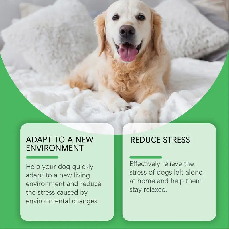 Dog Calming Pheromone Diffuser Pheromone Diffuser Pet Pheromones Cat Pheromone Dog Calming Diffuser Appeasing Pet Diffuser
