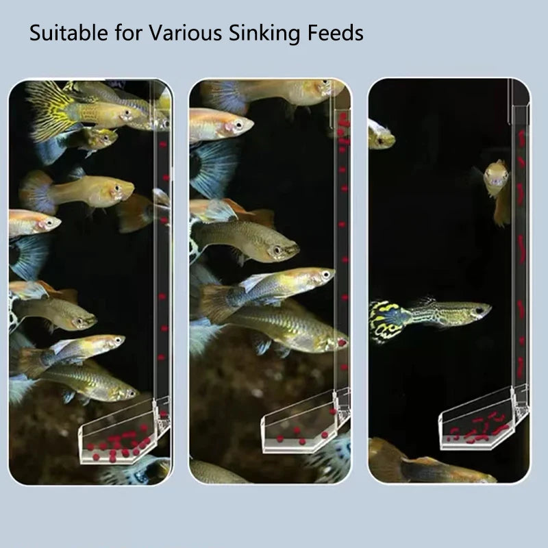 Acrylic Aquarium Feeder Tube Dish Transparent Fish Tank Shrimp Snail Shrimp Food Feeder Bowl Aquarium Feeding Accessories New
