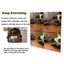 Turtle Feeding Ball Fruit Vegetable Holder with Training Skateboard 2 Treat Balls Turtle Enrichment Toys for Tortoise Turtle