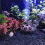 Large Ceramic Aquarium Decoration Fish Shrimps Shelter House Pottery Scorpion House Canister Simulation Stone Fish Tank Decors