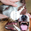 Dog Toothbrush Pen Toothbrush Pen For Cat Cat And Dog Tooth Whiten And Cleaning Toothbrush Pen Brightening Pen For Dog Cats Oral