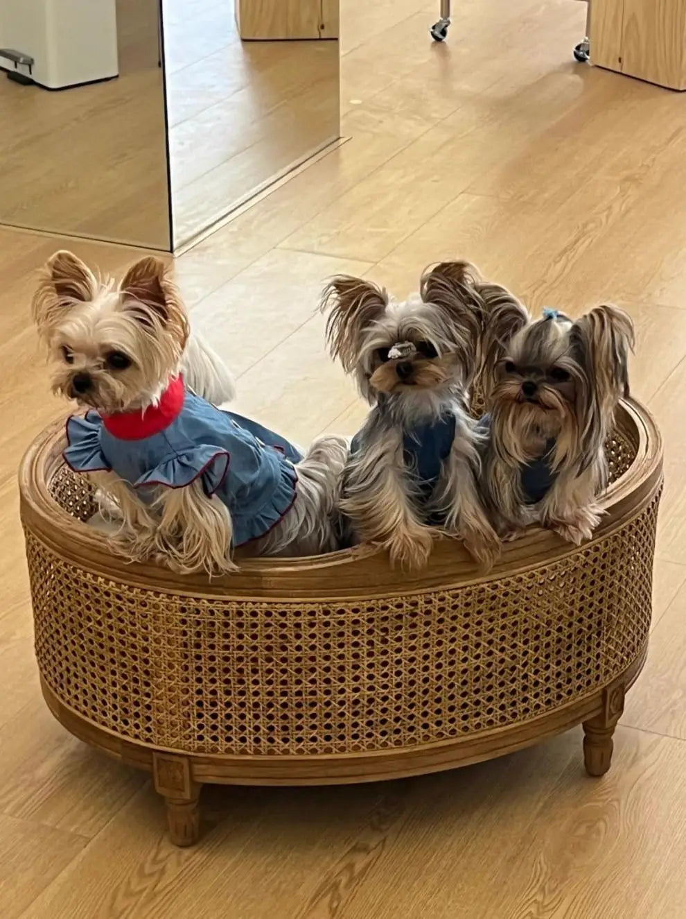 Four Seasons Universal Pet Nest Mat Suitable for Solid Wood Oak Kennel Cat Nest Sofa Bed Medium and Small Dog Universal Dog Sofa