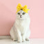 Lovely Bow Tie Hair Hoop for Cats Princess Cat Party Head Wear Pet Gifts Small Medium Dogs Accessories Elastic Cats Pet Products