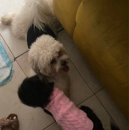 Warm Dog Clothes Knitted Clothes for Dogs Chihuahua Sweater for Small Dogs Winter Clothes for Sphinx Cat Dog Sweater for York