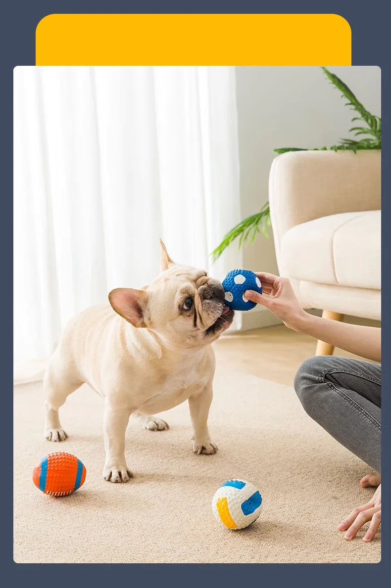 Dog Toy, Bite-Resistant, Molar-Resistant, Sounding Ball, Boredom Relief Artifact, Puppy, Corgi, Puppy, Golden Retriever, Large Dog Pet Supplies
