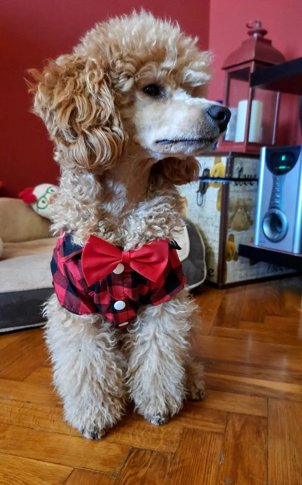 Bowtie Dog Blouse Classical Breathable Plaid T-Shirts Summer Dog Clothes for Small Dogs Puppy Large Cat Vest Chihuahua Yorkies