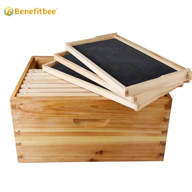 Benefitbee beekeeping 3 layers Langstroth beehive kit with 1 deep box and 2 super boxes bee hive complete