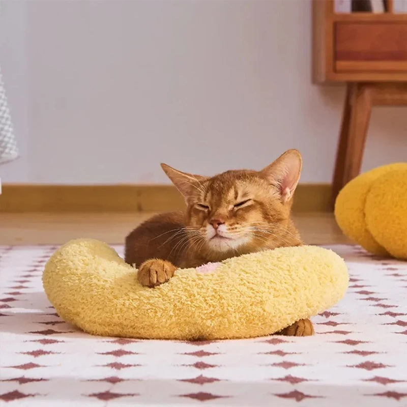 Cats Accessories Beds Dog Bed Houses and Habitats House Basket All Pet Products Mat Accessory Puppy Kitten Goods Things