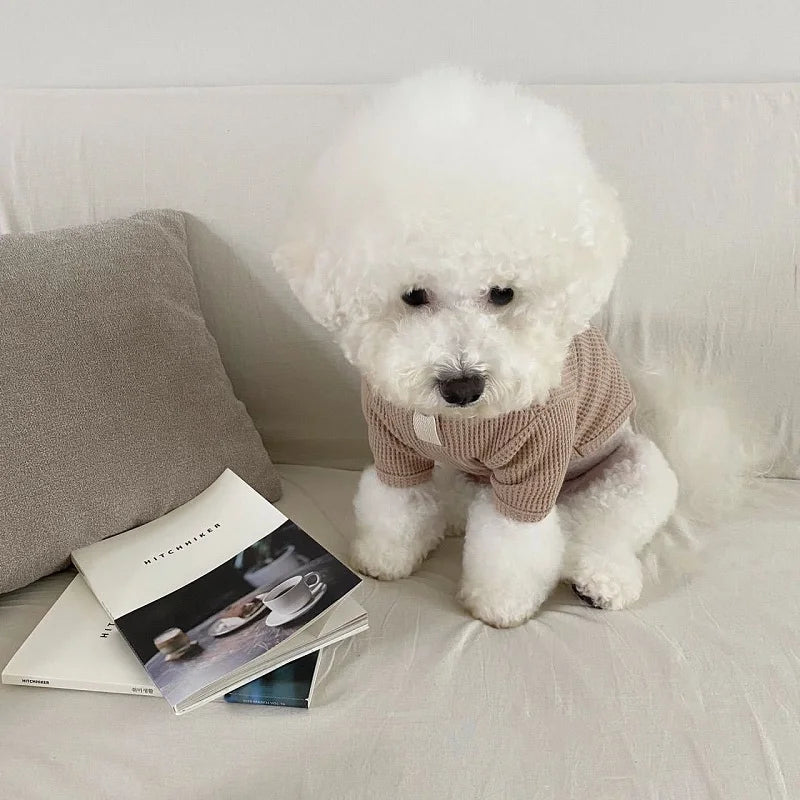 Thin Dog Clothes Solid Pet Dog Hoodies Fashion Kitten Puppy Undershirts Chihuahua Clothing Yorkie Bichon Vest Dog Costume Shirt