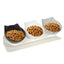 Dog Bowls Elevated Anti-Vomit Tilted Water And Food Feeder With 3 Dishes Pet Feeding Accessories For Cat And Dog Bowls For Dry