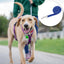 Uxcell Long Training Dog Leash 5M/6M/10M/15M Puppy Leashes for Small Medium Dogs Puppy Lead Outdoor Hiking Adjustable Rope