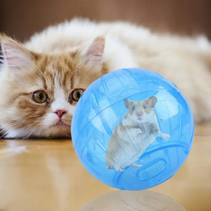 Hamster Exercise Balls With Traction Rope Transparent Hamster Running Ball Wheel Safe Hamster Exercise Balls Pet Supplies