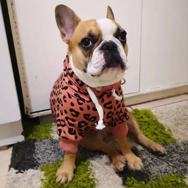 Warm Dog Clothes Hoodies for Small Dogs Cute French Bulldog Clothing Fashion Winter Puppy Supplies Cat Jumper Chihuahua Costume