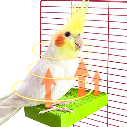 5W Bird Perches Heating Bird Perch Platform Safe Bird Perch Standing Warmer Pet Heated Toy For Birds Parrot Hamsters Chinchillas