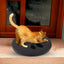 Pet Nail Scratcher Cat Nails Scratch Pad For Dog Treat Effective Dog Nail File Toy Feeder Nonirritating Dog Paws Scratch Board