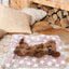 Cat Blanket Pet Calming Blanket Cozy Cat Blanket Pet Sleeping Mat Washable and Soft Cat Calming Blanket Pet Supplies