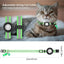 Small Dog Collar Adjustable Dog Collar with Safety Buckle Pet Luminous Collar for Night Walking Pet Nest Wearing for Dogs Cats