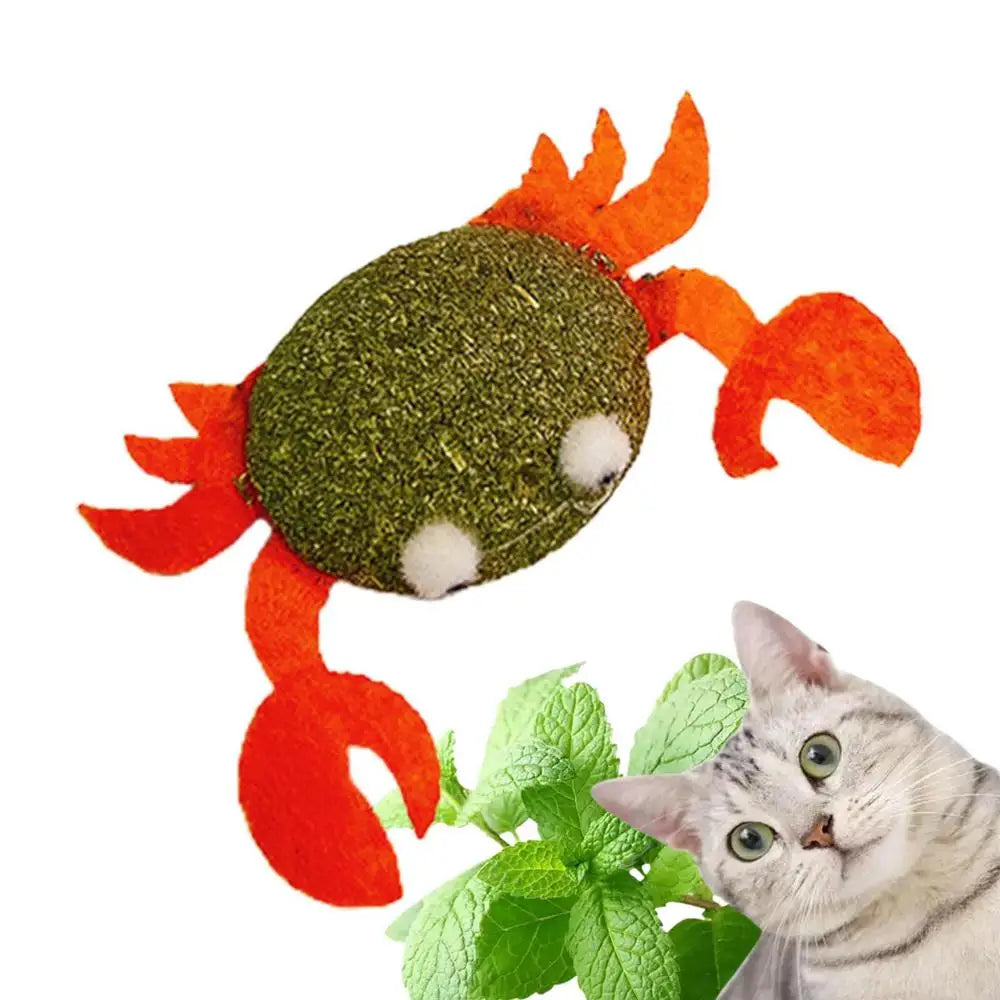 Catnip For Cat Toys Catnip Filled Cartoon Cat Teething Chew Toy Natural Catnip And Silvervine Cat Feather Kicker Toys For Indoor