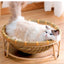 Wholesale cat cage products, handmade products from Vietnam