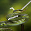 Multifunctional 1.2m Snake Catcher Tongs Foldable Handling Tool Snake Catcher Stainless Steel Snake Hook Catcher Grabber Tool