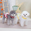 Reusable Female Dog Diapers with Adjustable Suspender for Small Medium Dogs, Washable Puppy Onesie Sanitary Physiology Panties