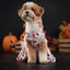Halloween Dog Costume Funny Dog Clothes Terror Spider Skull  Pet Dog Dress Puppy Jumpsuit Chihuahua Bichon Dachshund Dog Outfits