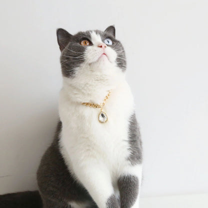 Luxury Dog Cat Necklace Jewelry with Heart Diamond Pendant Design Gold Chain Collar Pet Wedding Birthday Costume Accessories