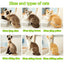 Stuffed Siame Cats Plush Toy 20/25cm Simulation American Shorthair Cute Cat Pet Toys Lifelike Home Decor Birthday Gift
