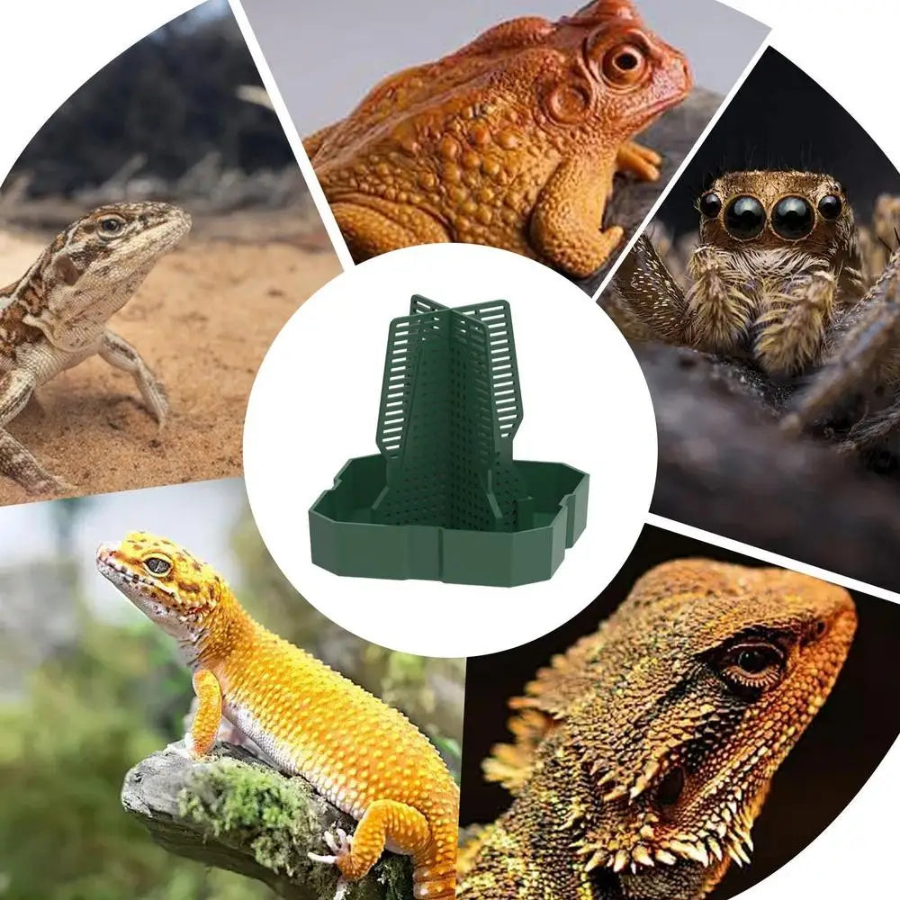 Reptile Food Dish Bowl Mealworm Bowl For Chameleon Mutual Inserting Prey Dish Lizard Gecko Pet Bowl Mealworms Bowls For Leopard