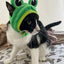 Cute Pet Hat Small Dog Cat Hat Easter Bunny Hat Crab Lobster Frog Cap Pet Party Costume Accessories Headwear for Cat Kitten Pug