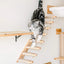 Cat Wall Mounted Furniture Hammock Climbing Shelves Cat Scratching Post Wooden Stairway Shelves Sisal Ladder Cat Climbing Frame