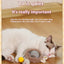 New Smart Cat Dog Toys Automatic Rolling Ball Fake Tail Rechargeable Electric Cat Bite Resistant Interactive Toy Pet Products