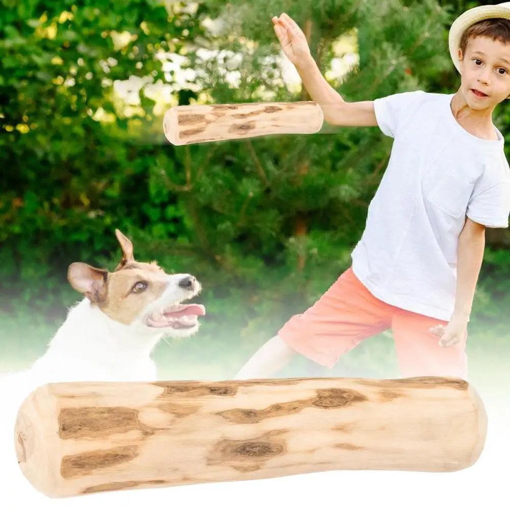 Real Wooden Dog Chew Toys Safe Interactive Pet Chew Stick Natural Dog Teeth Cleaning Hard Portable Sticks For Puppy Travel Toy