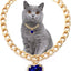 Luxury Dog Cat Necklace Jewelry with Heart Diamond Pendant Design Gold Chain Collar Pet Wedding Birthday Costume Accessories