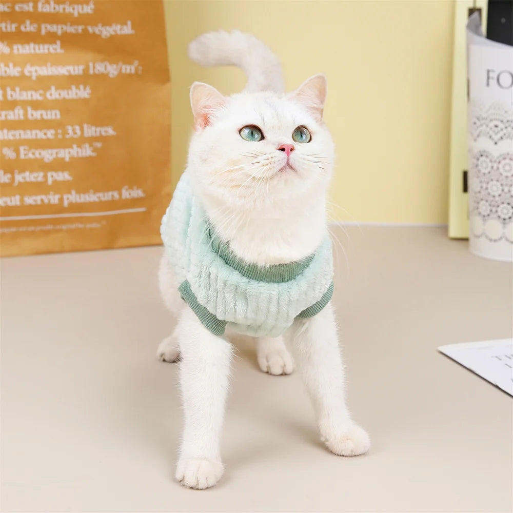 Autumn Winter Sphynx Cat Clothes Korean Pet Sweater for Cats Gotas Katten Kedi Pullovers Dog Hoodie mascotas Costume Clothing
