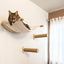 Cat Tree Tower Climbing Shelves Wall-Mounted Cat Hammock And Bed Easy-cleaning and Durable Ladder with Felt for Playing&Exercise
